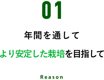 年間を通して