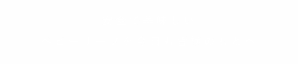 安全で美味しいベビーリ