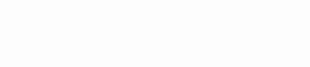 機械だけに頼るのではなく