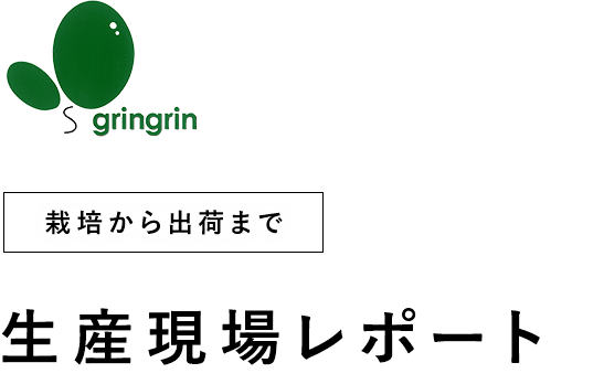 栽培から出荷まで